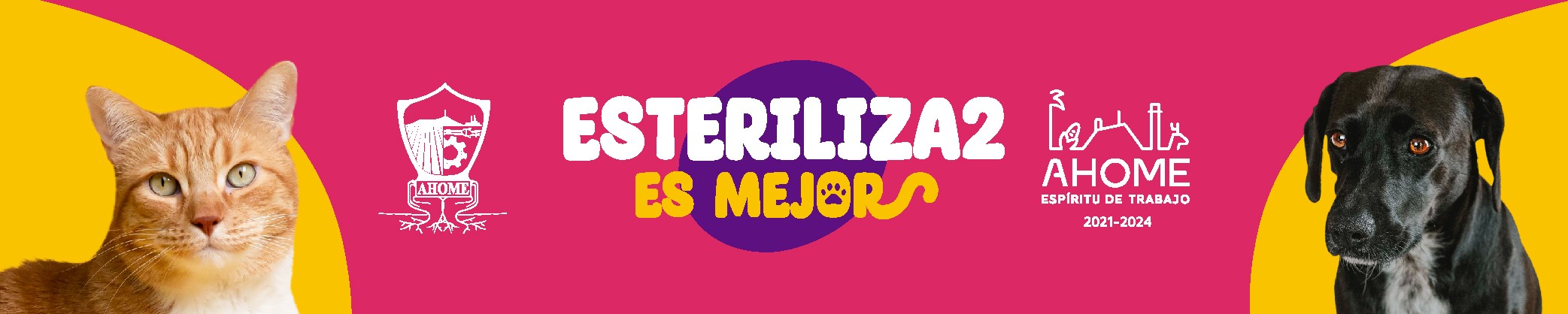esteriliza22-01