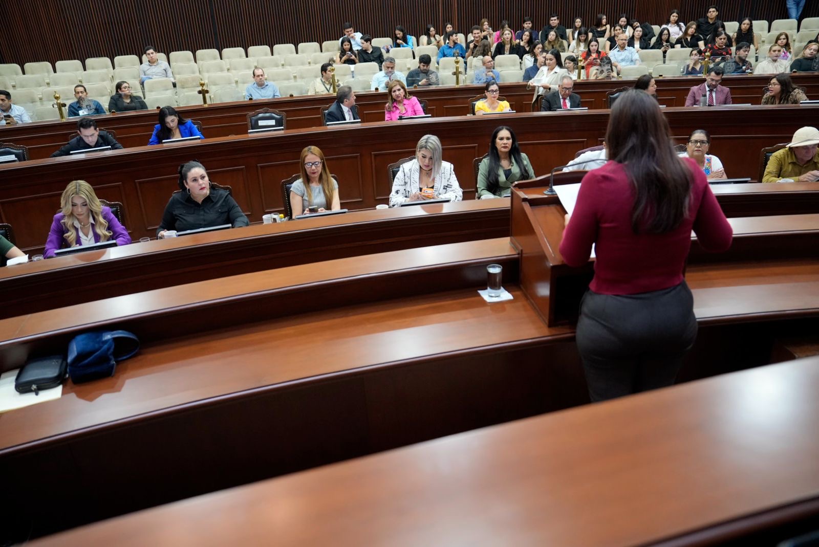 Congreso de Sinaloa solicita a la CFE revisar cobros elevados y ampliar ...